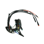 Load image into Gallery viewer, Smartmotion Controller For C600 Screen (Midcity / Xcity)