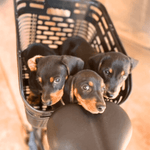 Load image into Gallery viewer, Smartmotion Rear Basket - For Rear Rack Battery Models