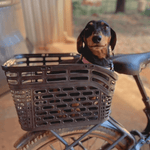 Load image into Gallery viewer, Smartmotion Rear Basket - For Rear Rack Battery Models