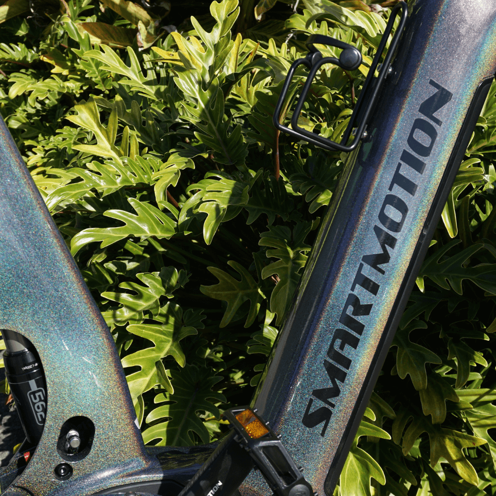 Smartmotion Xcapade  20" FRAME