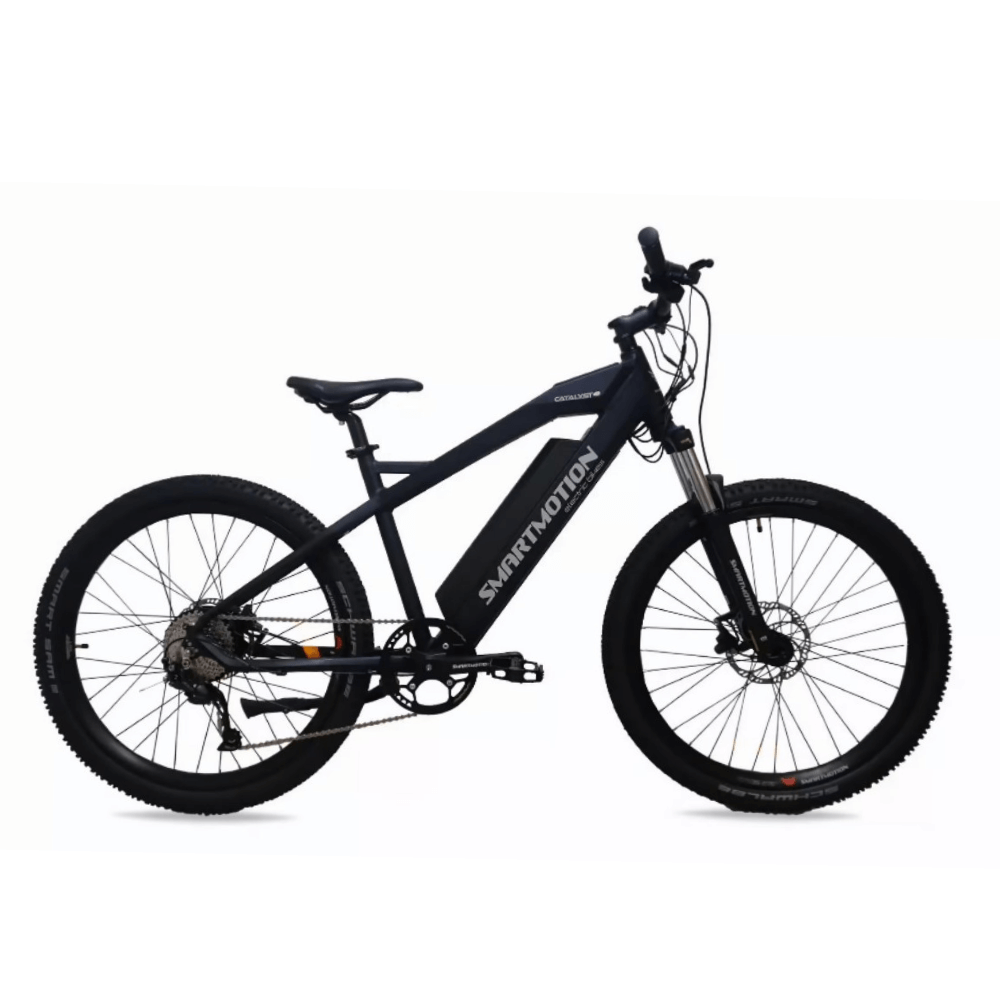 250w electric bicycle Buffalo Mountain eBike which provides superior durability VICTRIP R5 Pro 250W Foldable